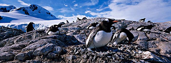 玩家使用MOD 让《星空》在XSS上成功实现120帧